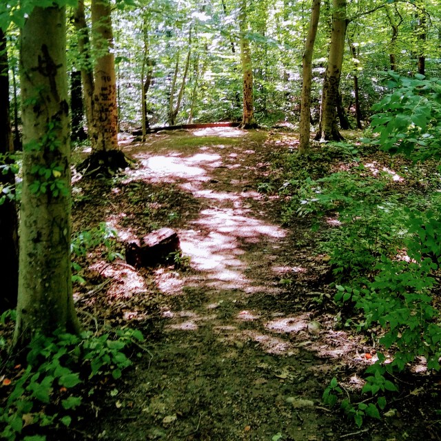 cropped-20180804_1505582