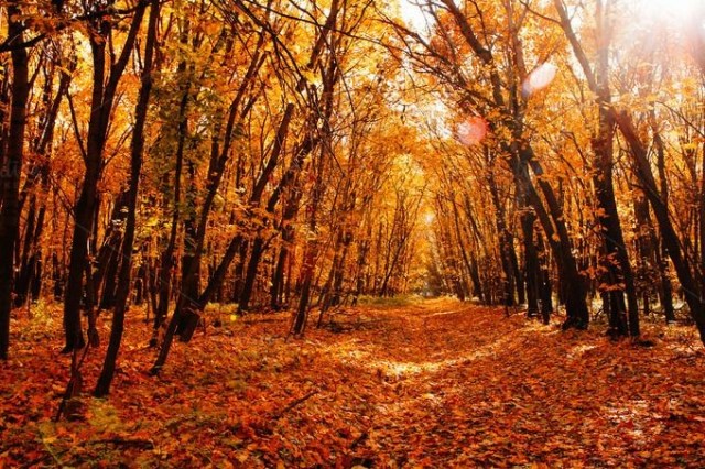 ea9eeb7fc9182abc4a9d7bddc0bc4bf8