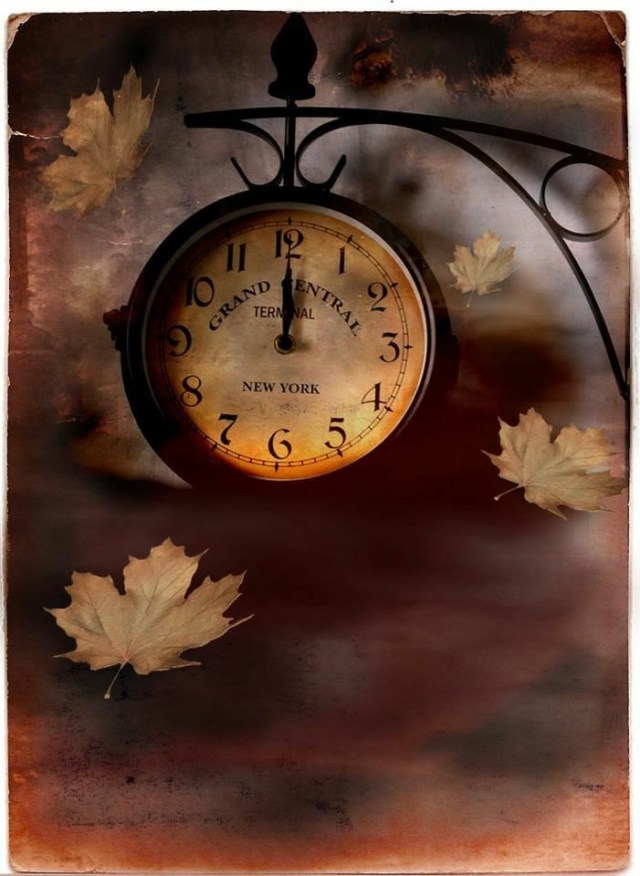 84213c54c673d5912bdc63b6d353cc9b