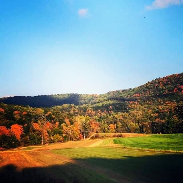 received_1525878864167413~2