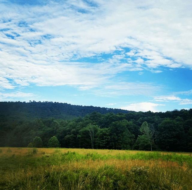 received_1876986825951476-1